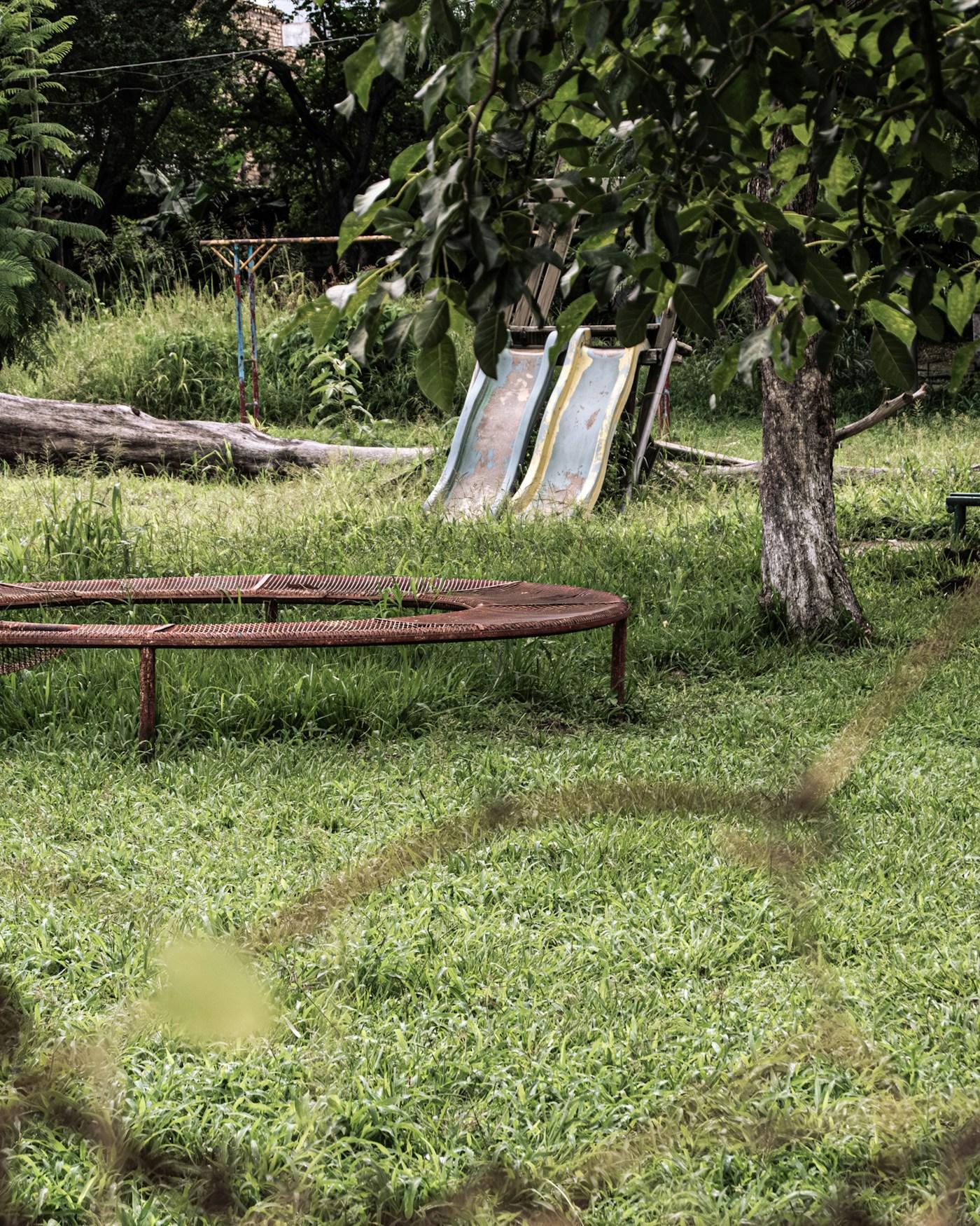 Illustrative example — overgrown yard before cleanup